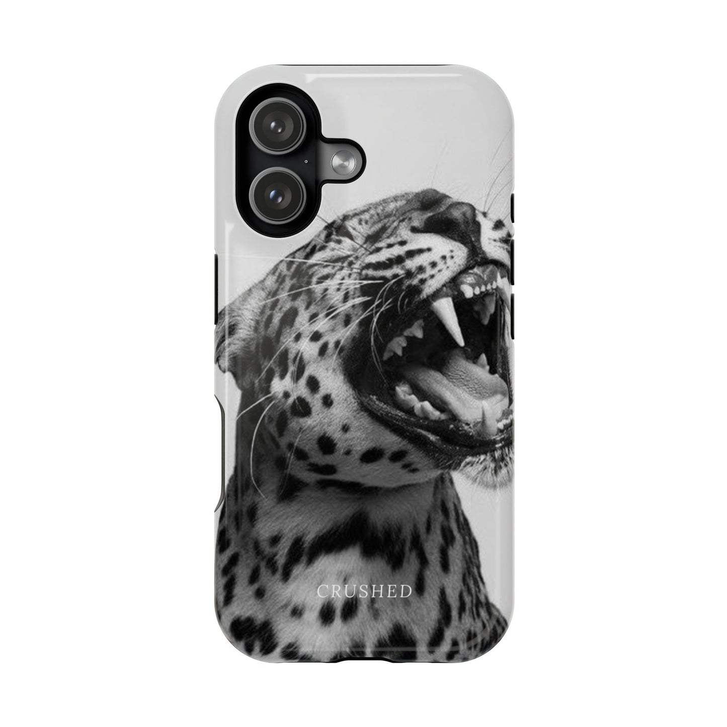 The Jaguar