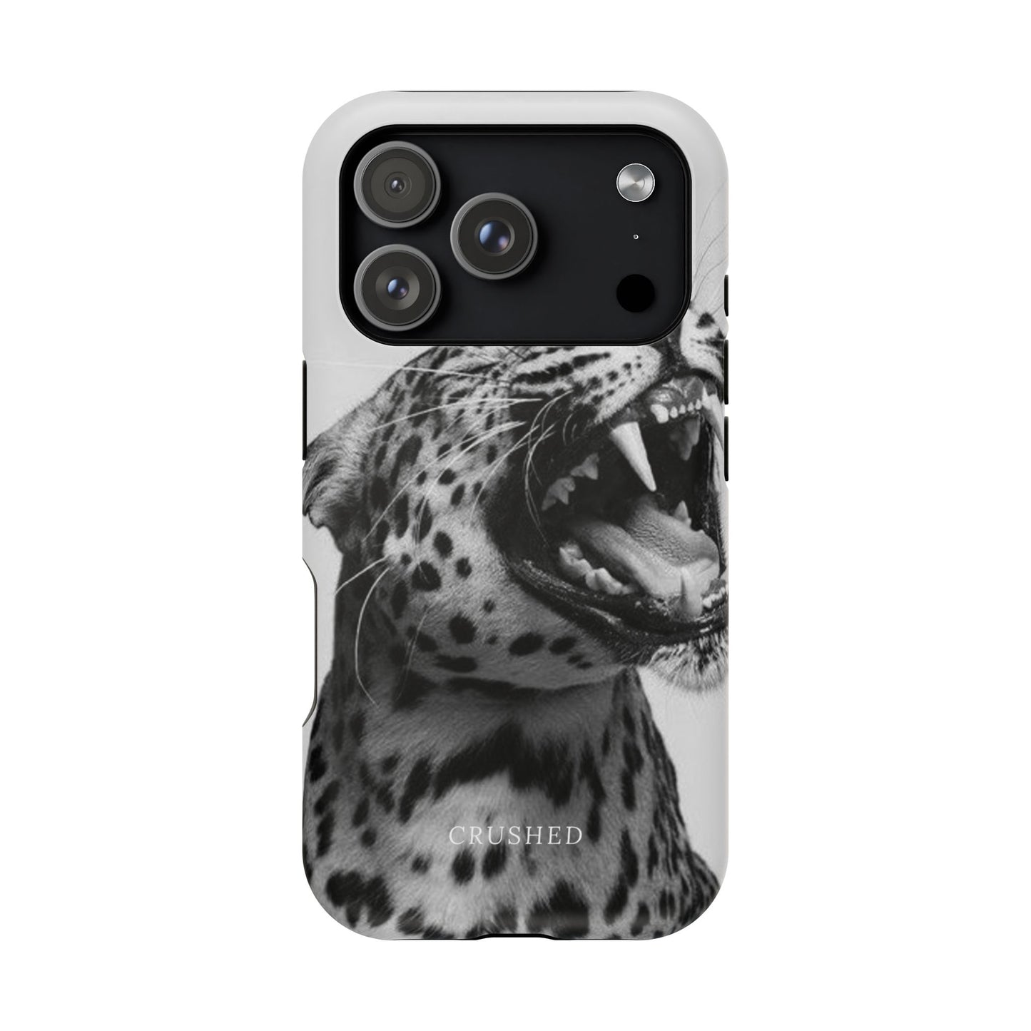 The Jaguar