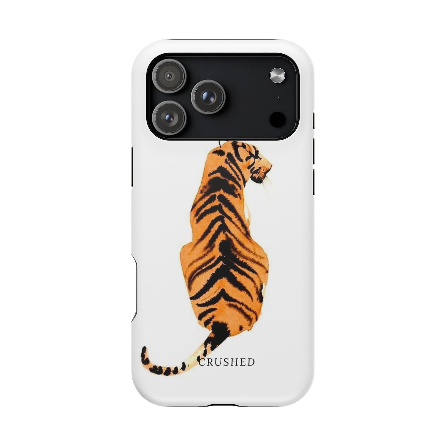 Tiger’s Gaze