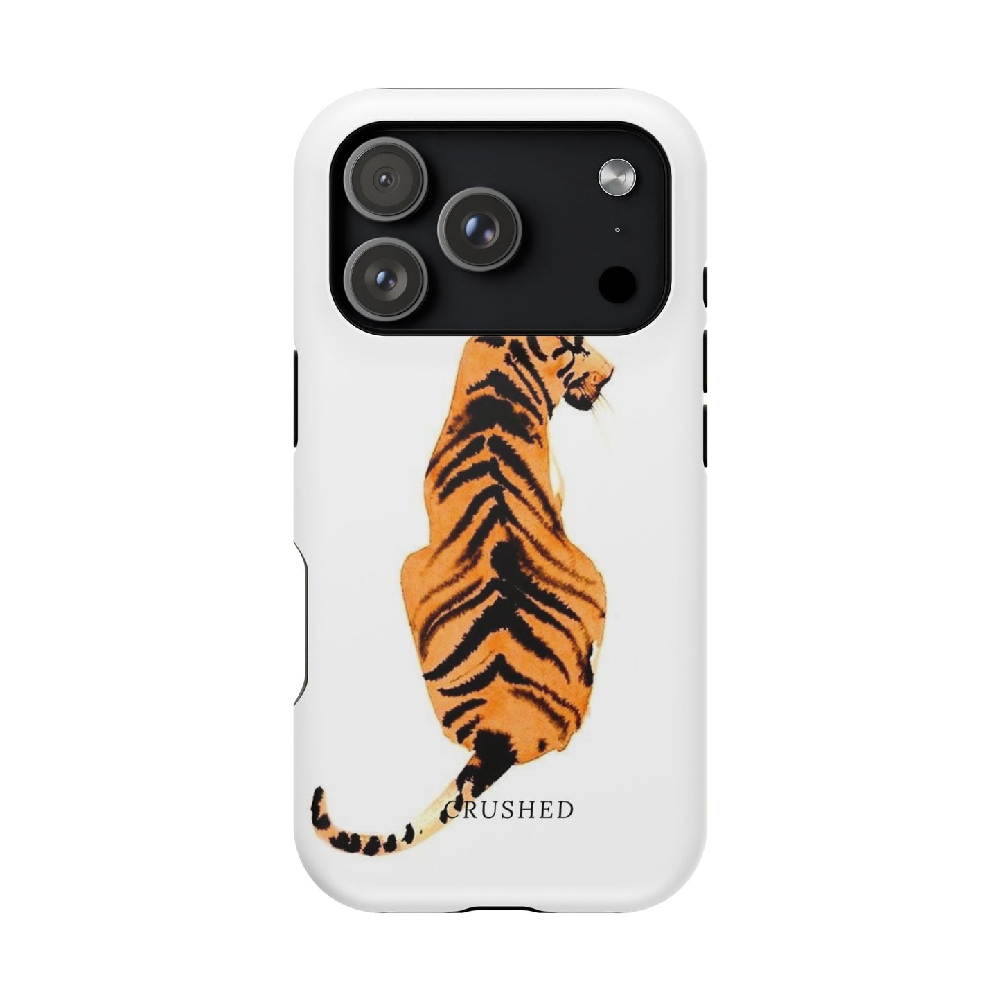 Tiger’s Gaze