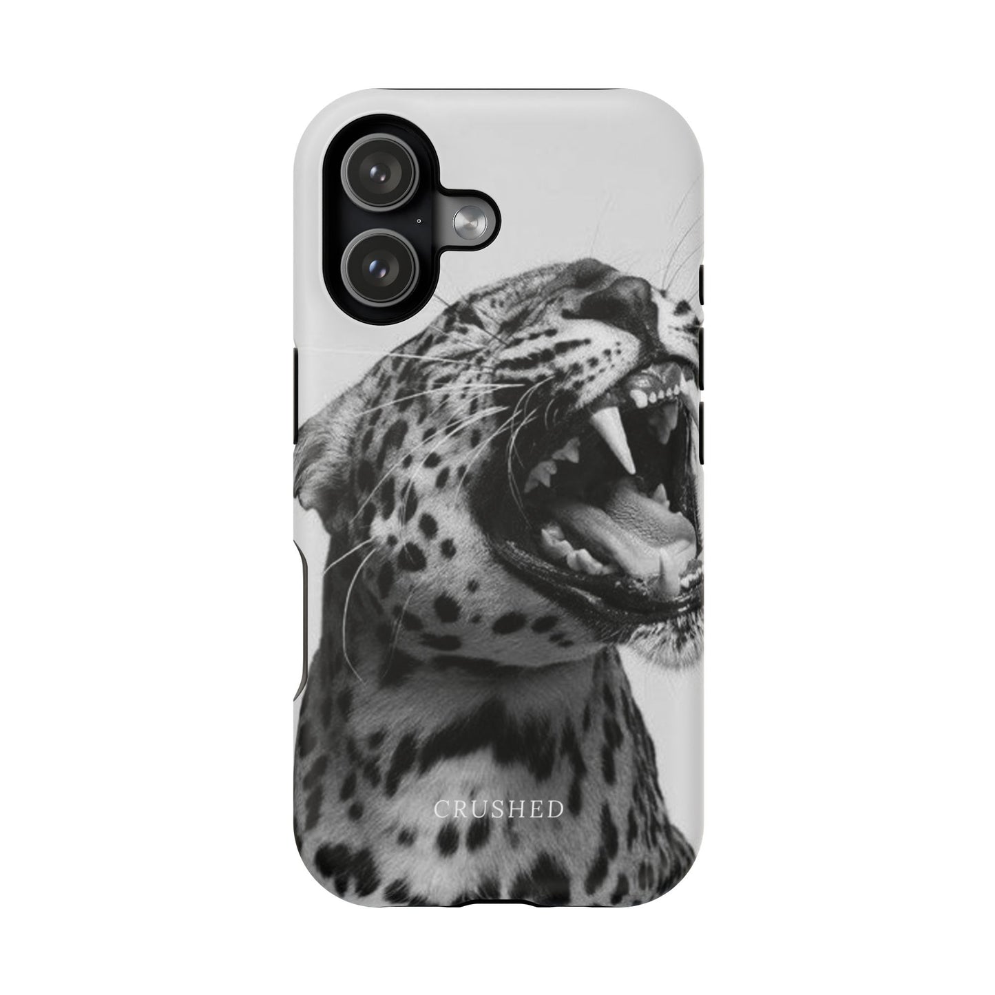 The Jaguar