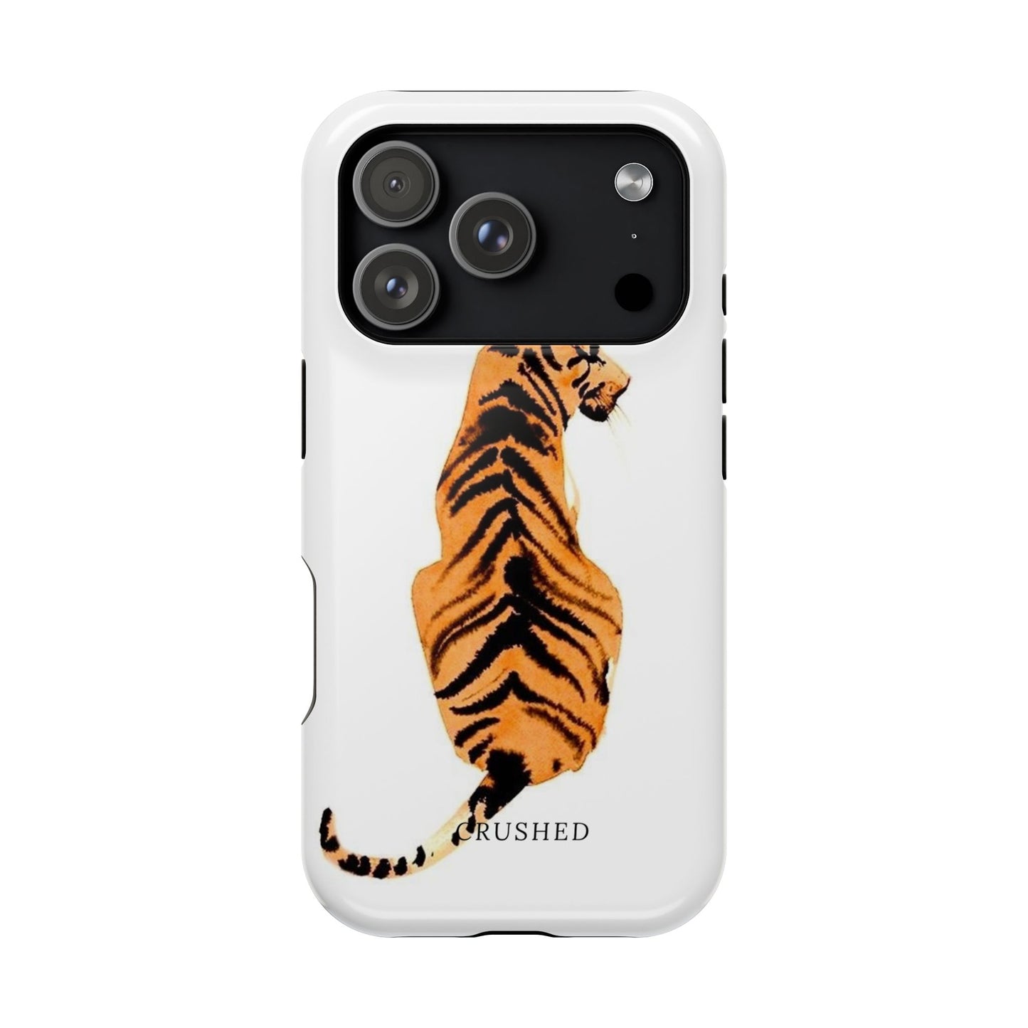 Tiger’s Gaze