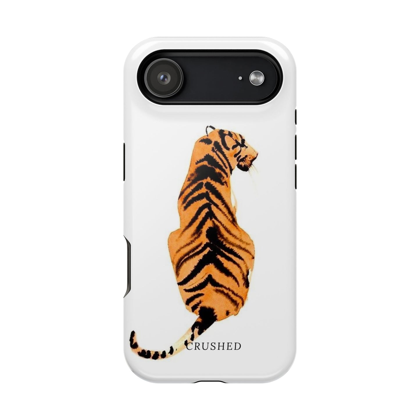 Tiger’s Gaze