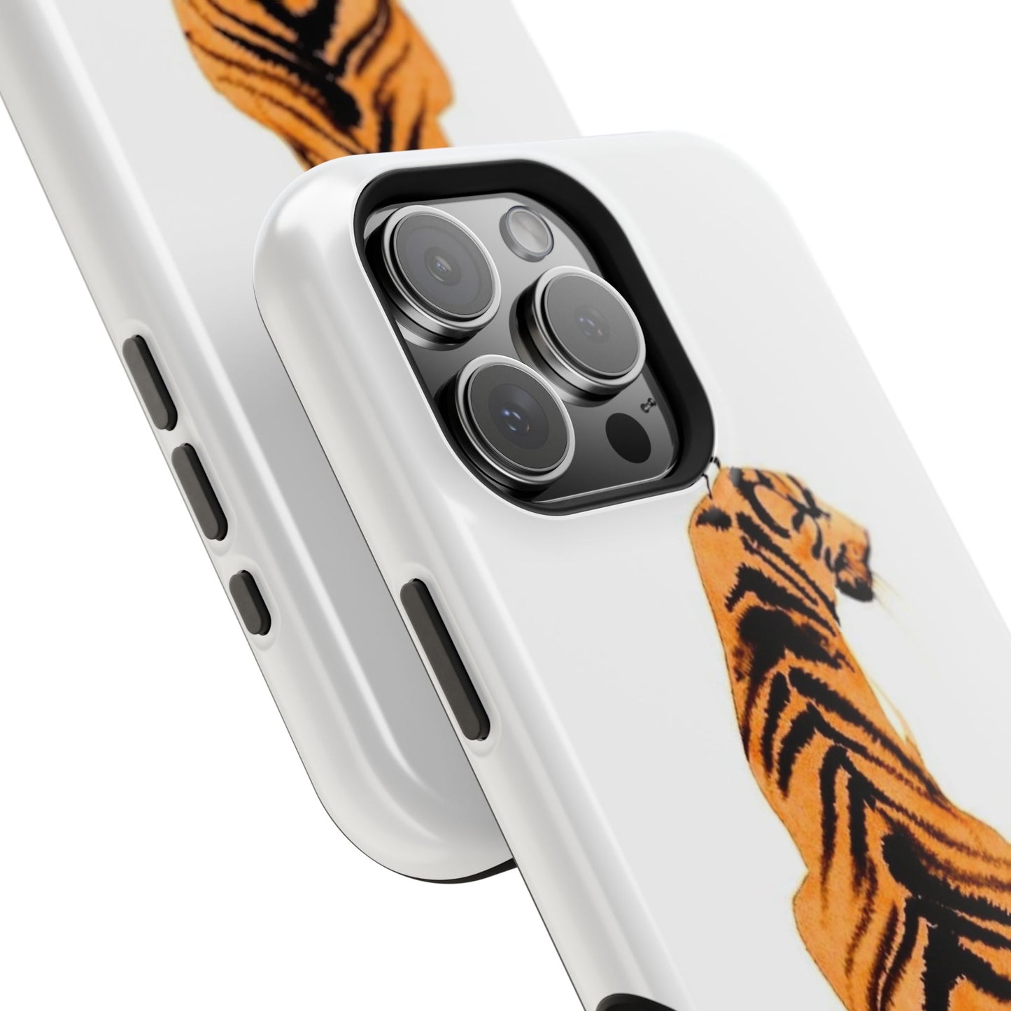 Tiger’s Gaze