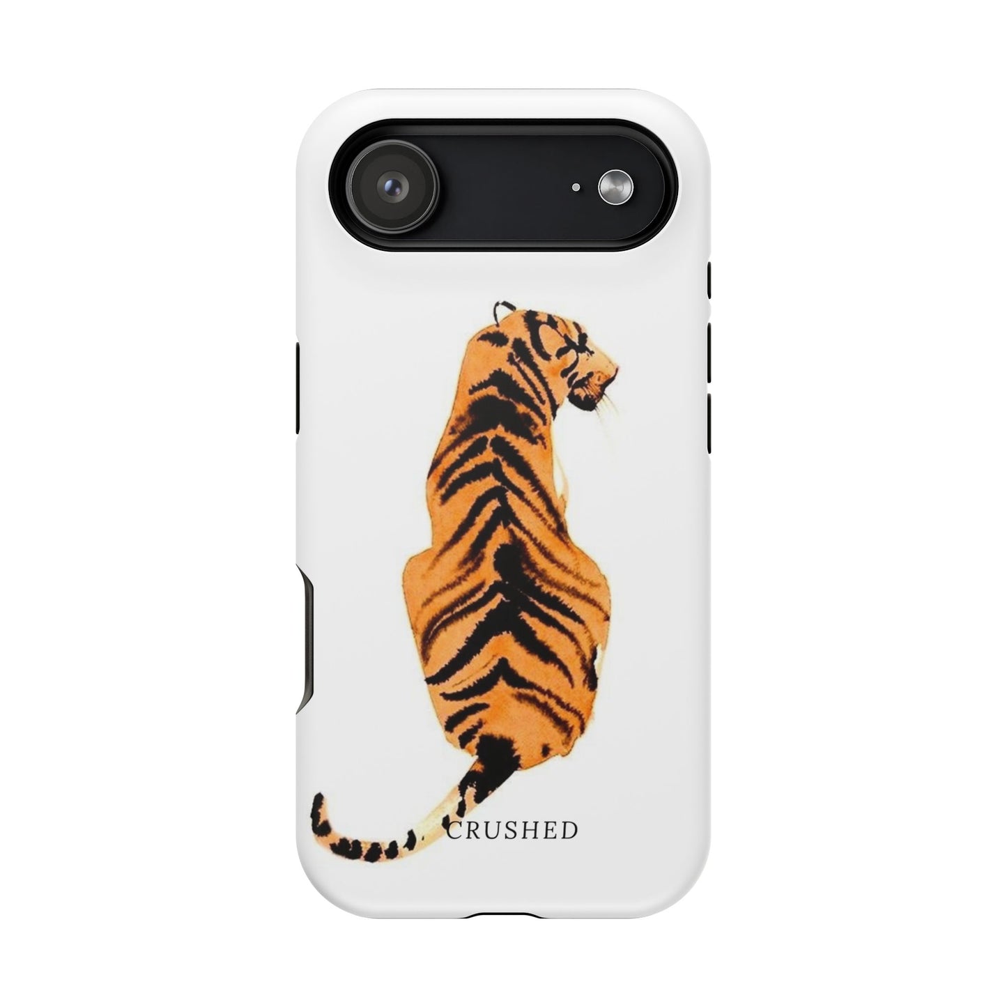 Tiger’s Gaze