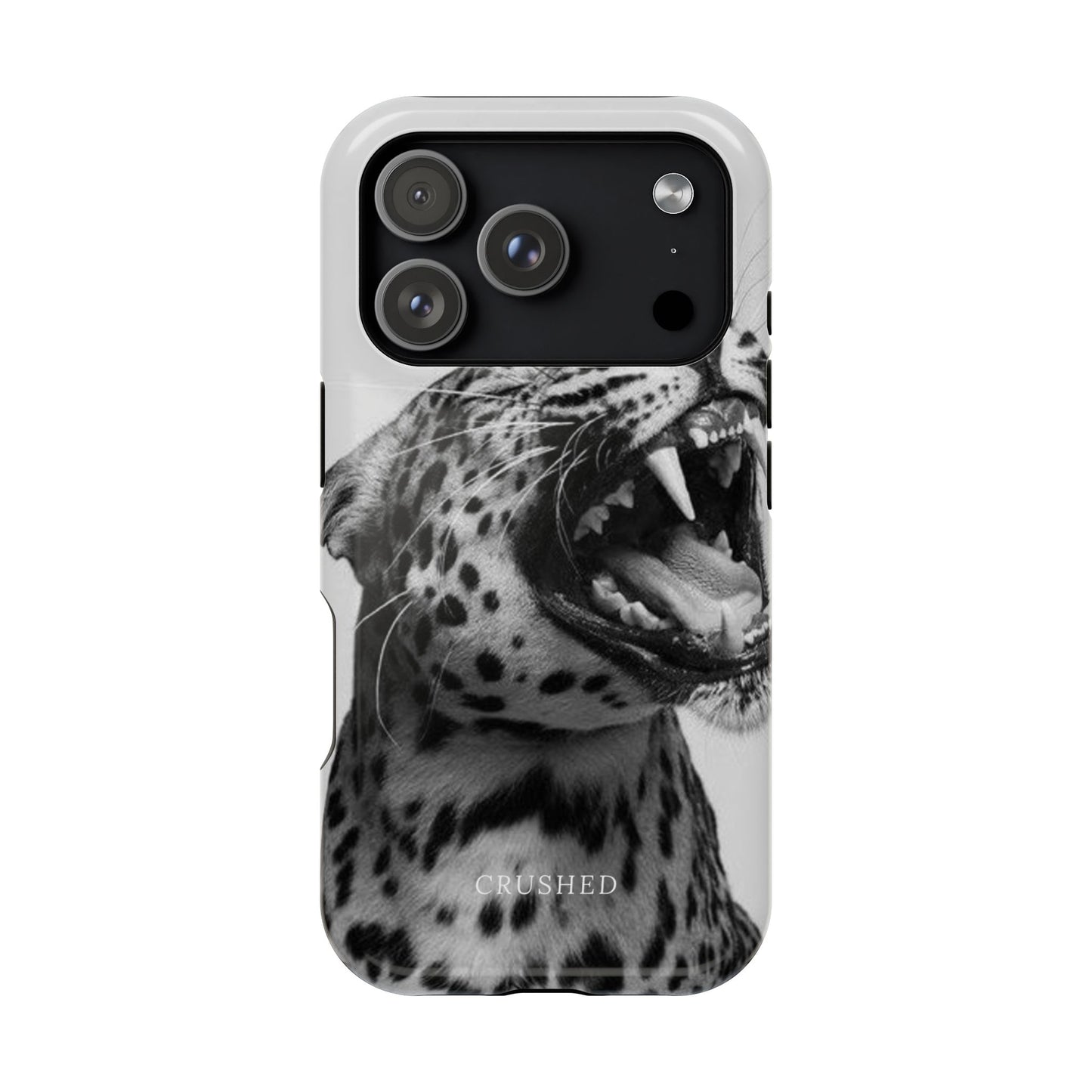 The Jaguar