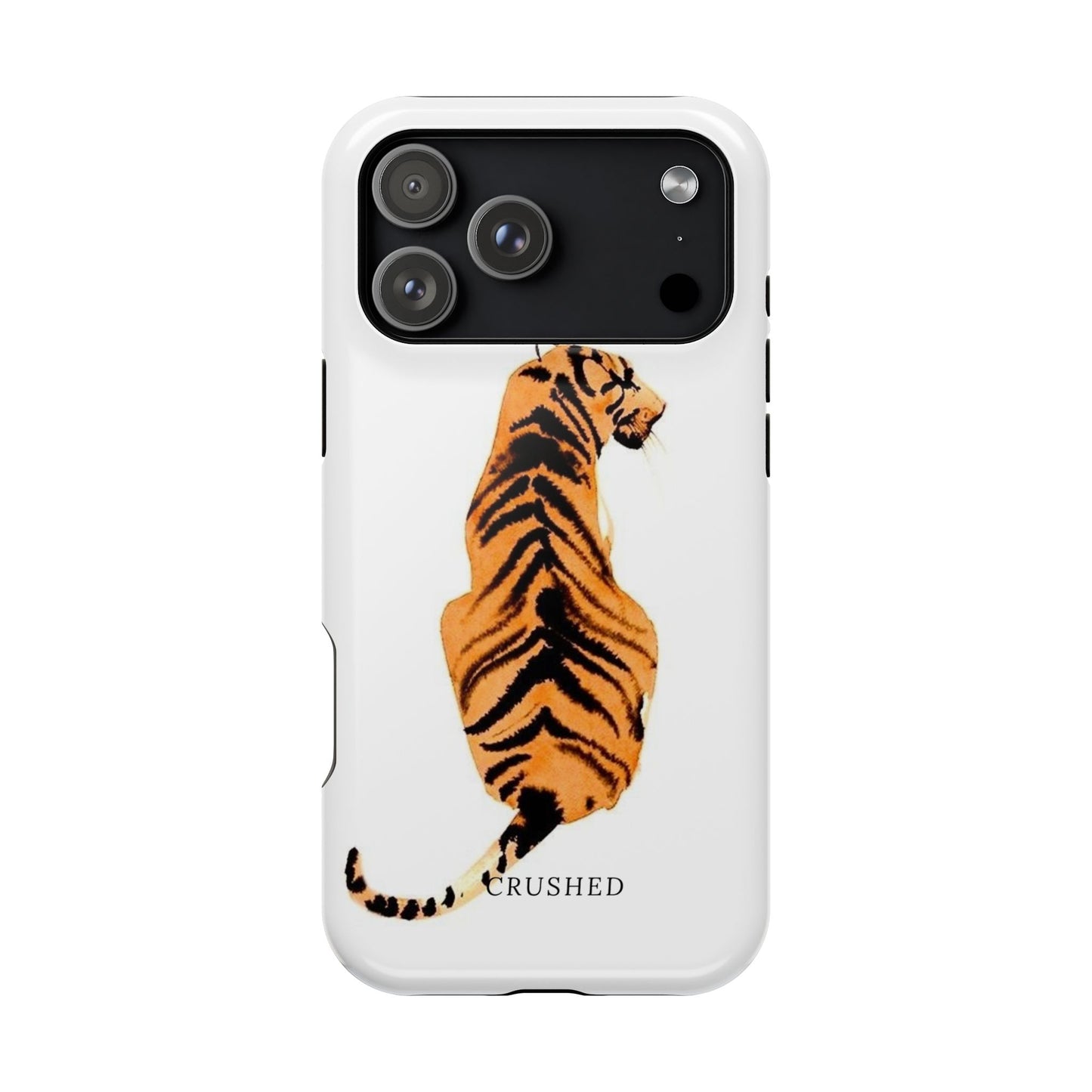 Tiger’s Gaze