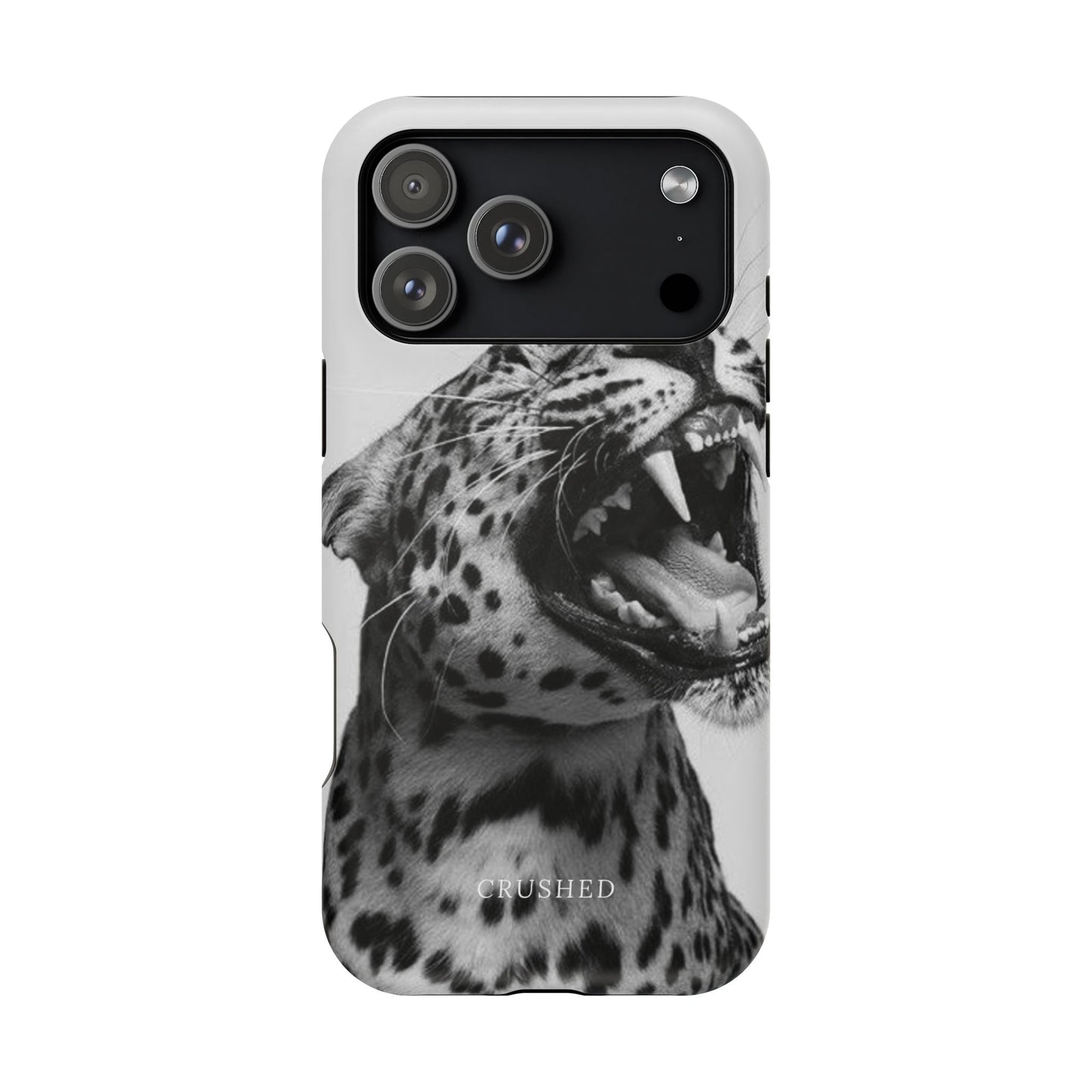 The Jaguar