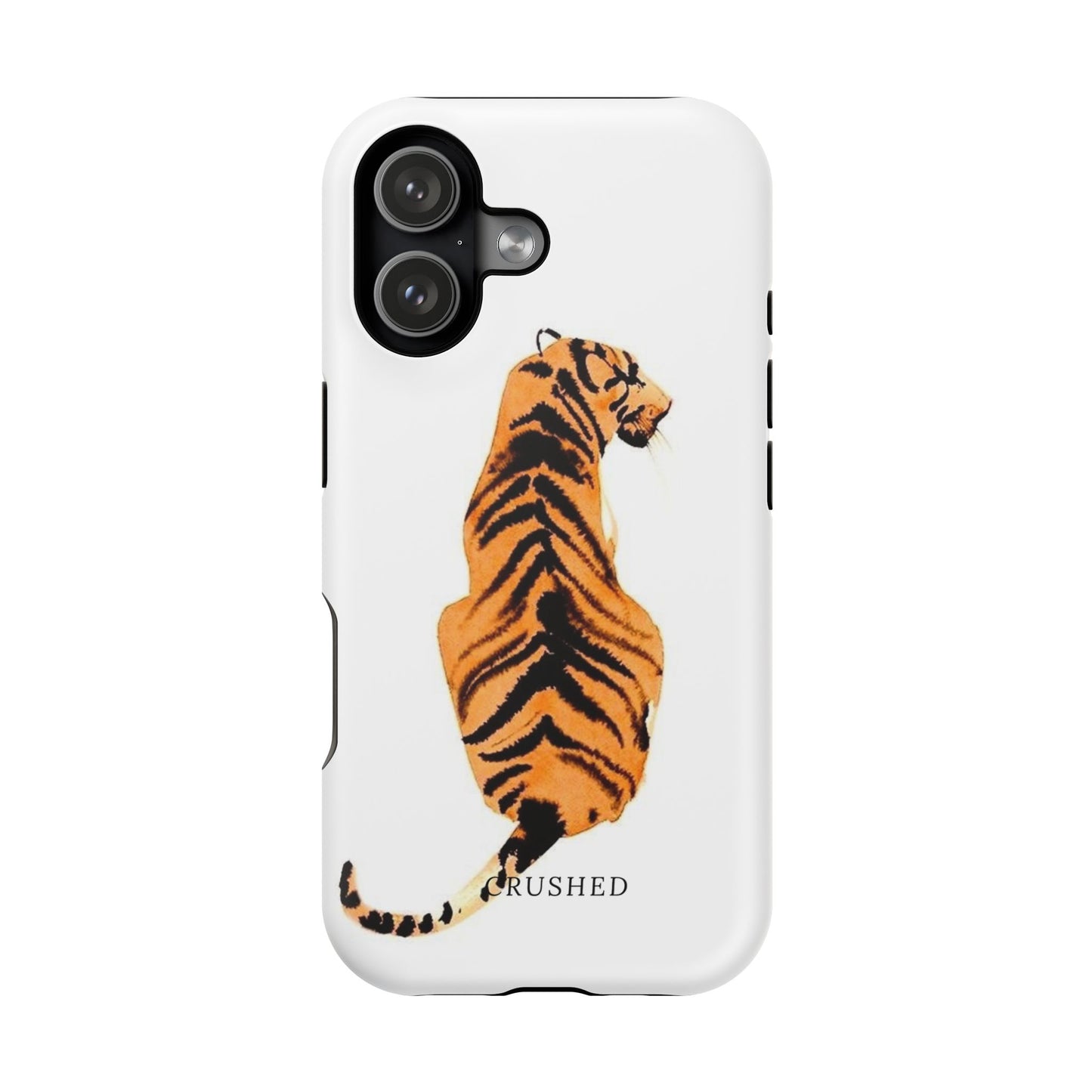 Tiger’s Gaze